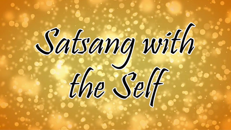Satsang with the Self video series